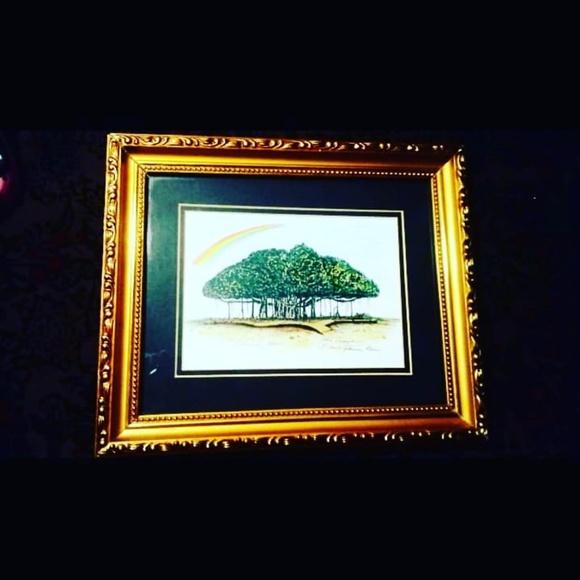 Banyon tree rainbow picture wall art - Picture 3 of 4